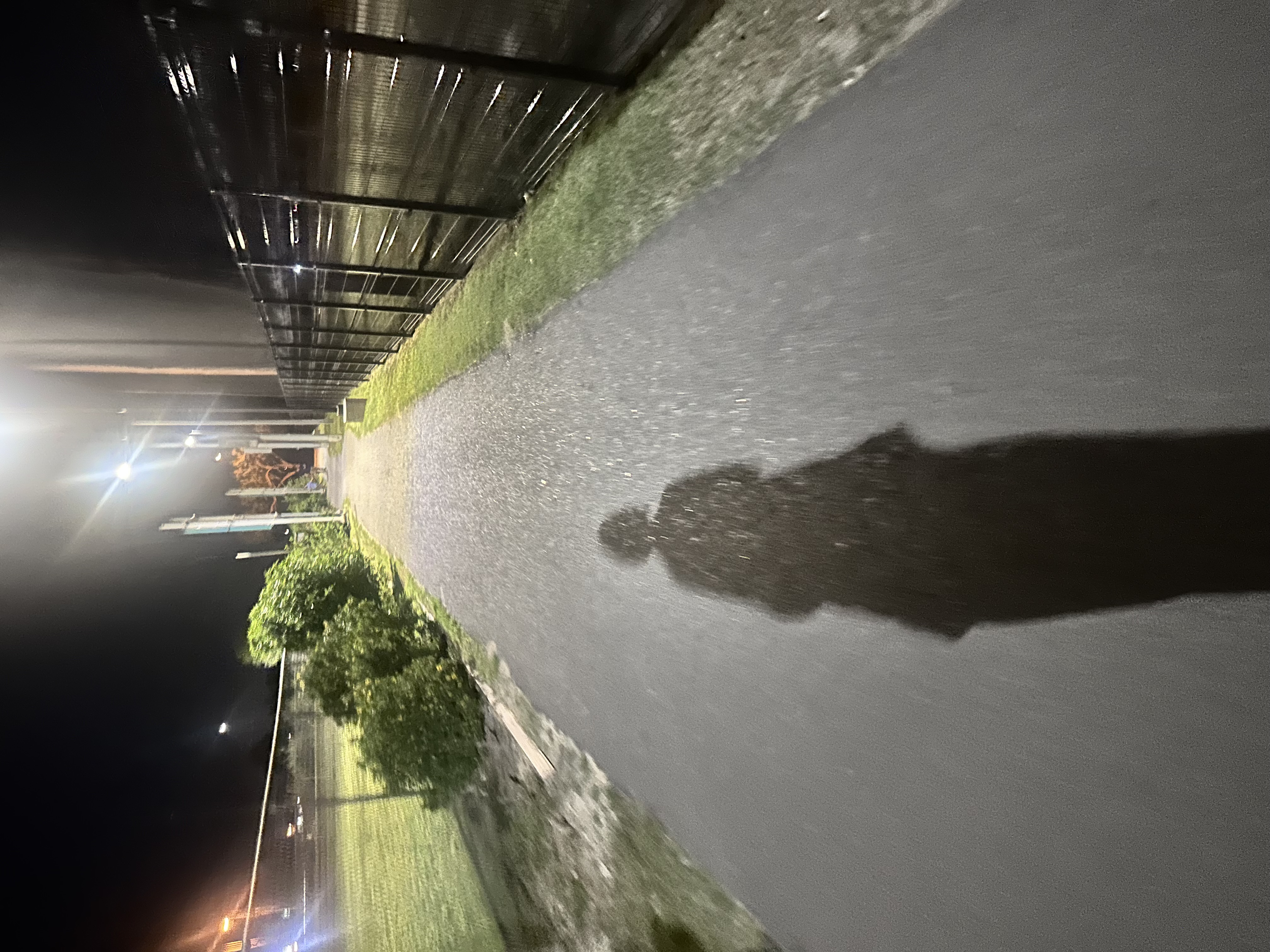 Daily stretching exercises