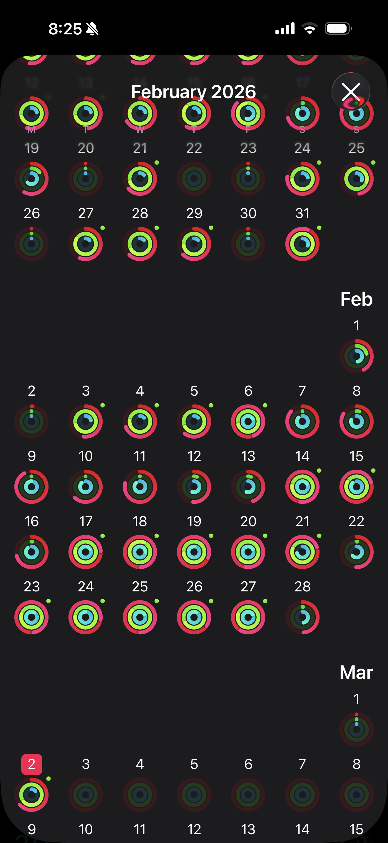 Monthly Fitness App Reports ( FitBit/ Apple Watch)