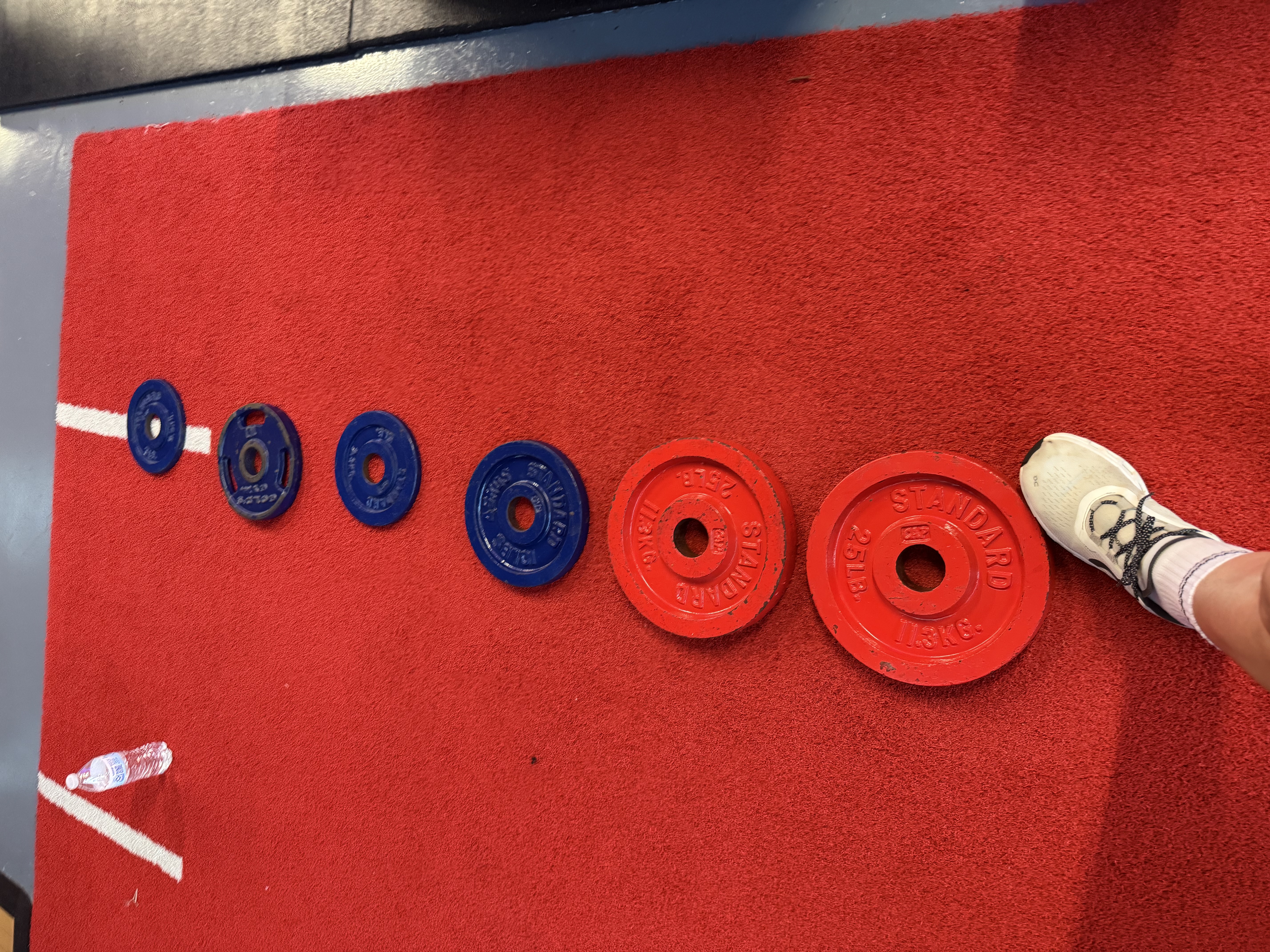 Daily Works Outs